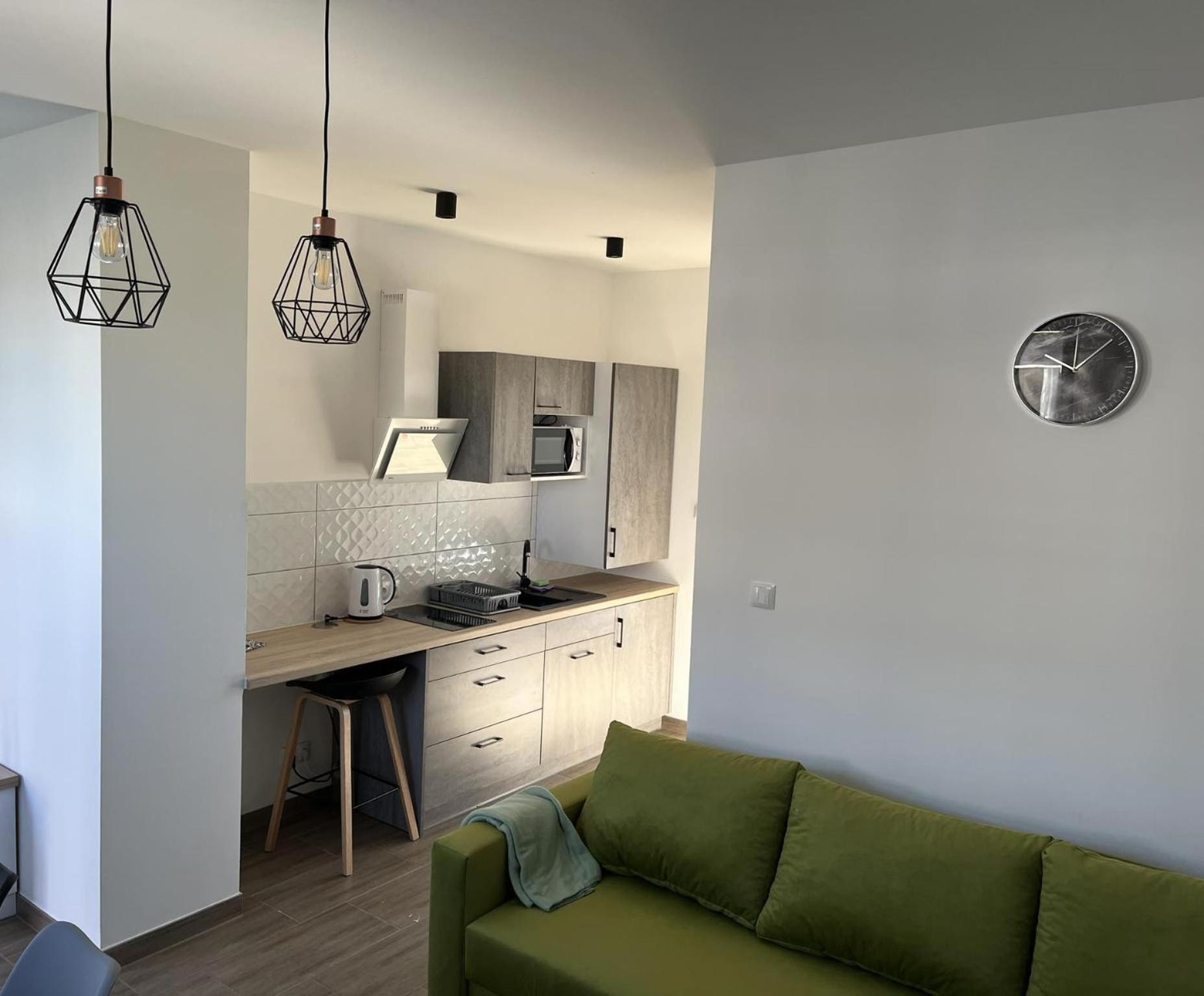 Apartamenty Pod Jodlami Сарбиново Экстерьер фото